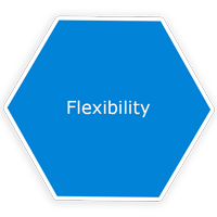 Flexibility