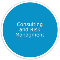 consulting-and-risk-management